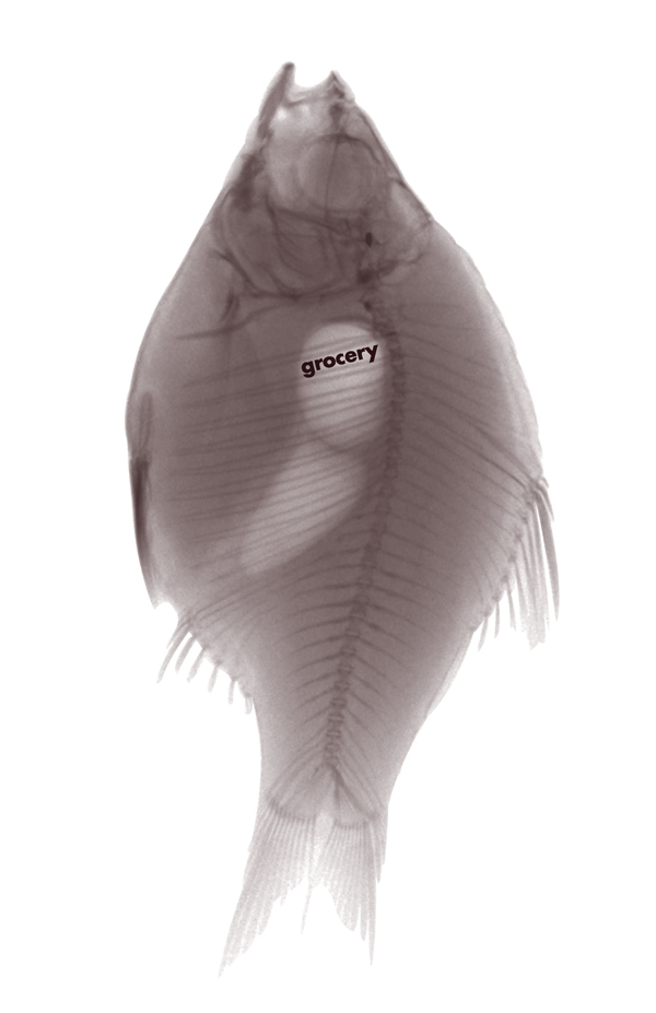 [link to Nora Merecicky's web site / documentation of projects] 